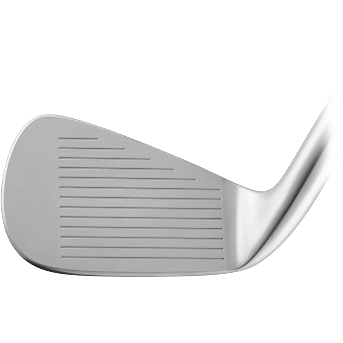 Lyra Image 17