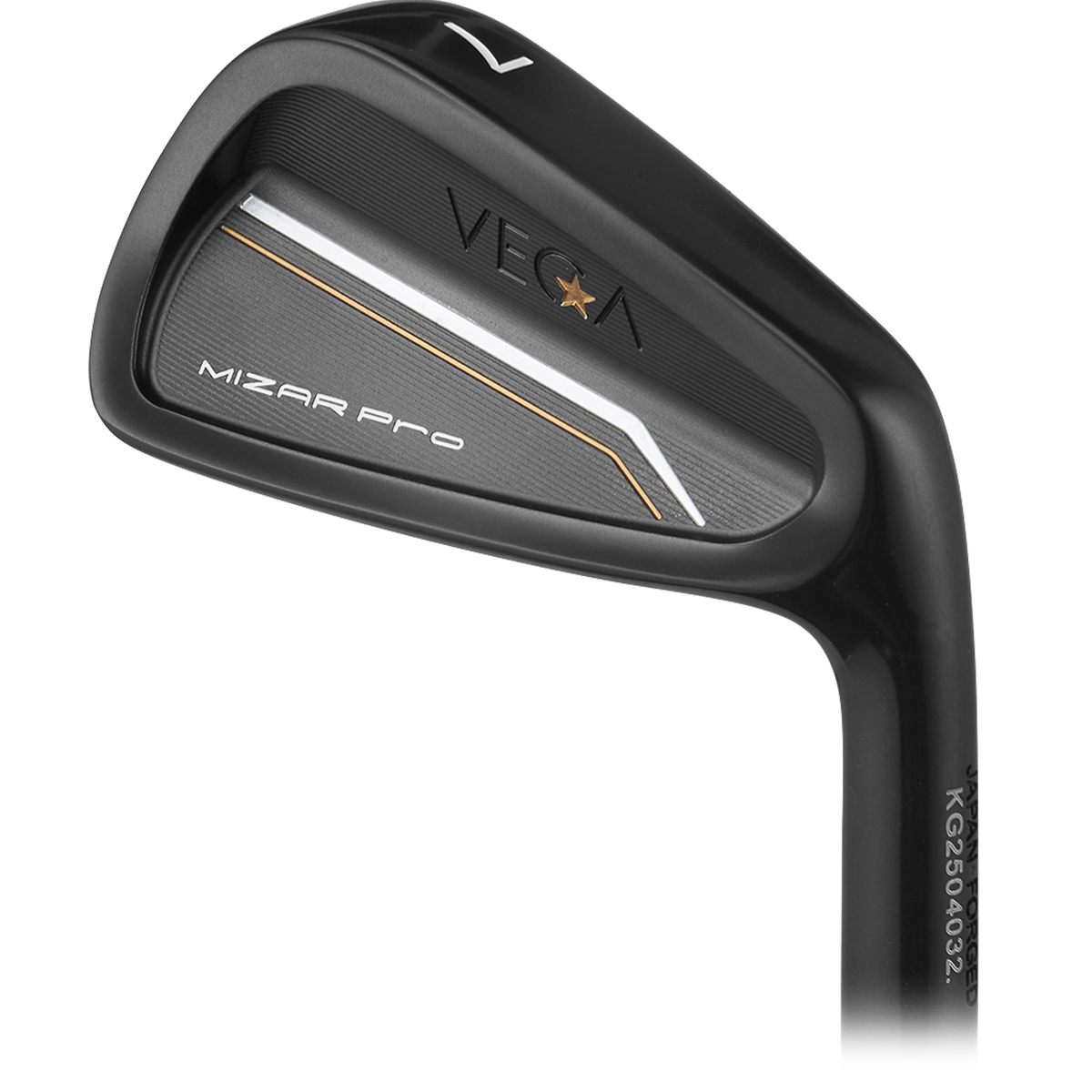 VEGA Mizar Pro DLC Black irons