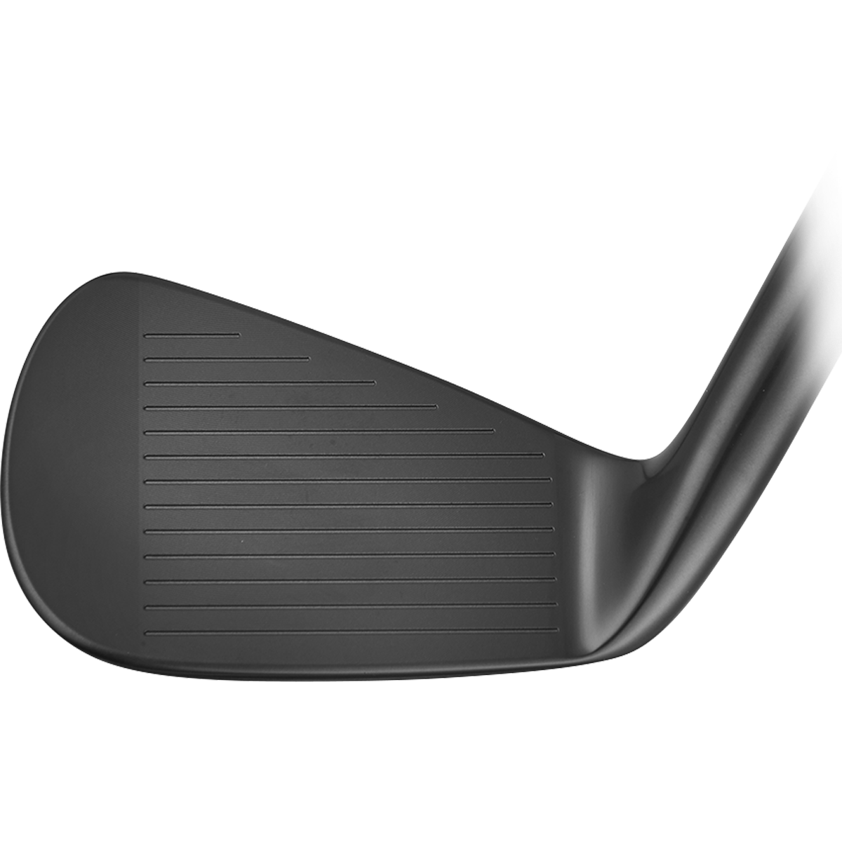 VEGA Mizar Pro DLC Black irons