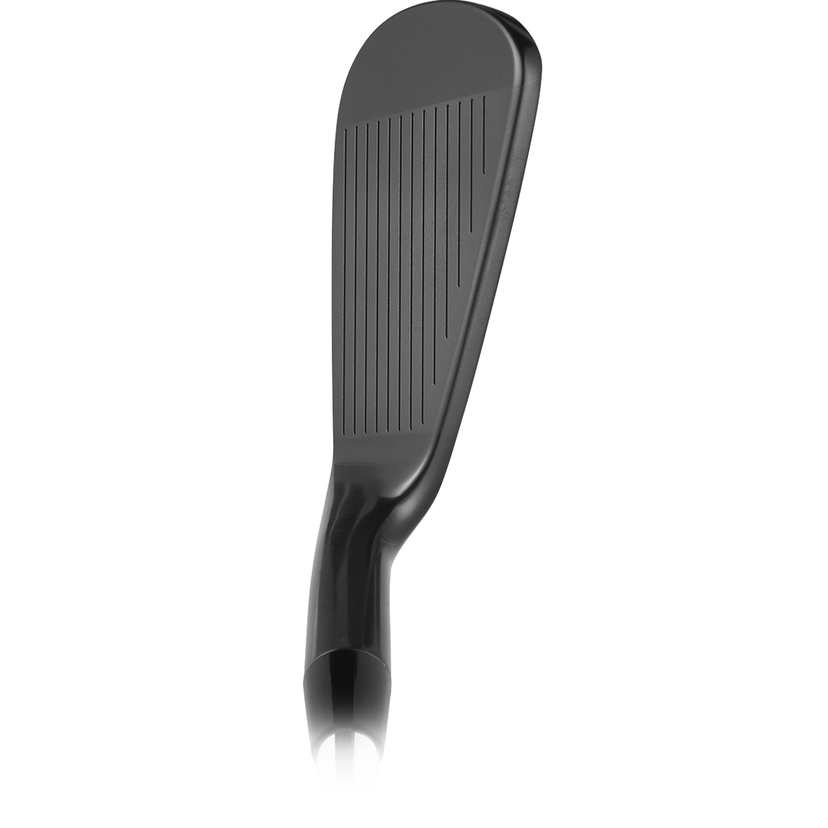 VEGA Mizar Pro DLC Black irons