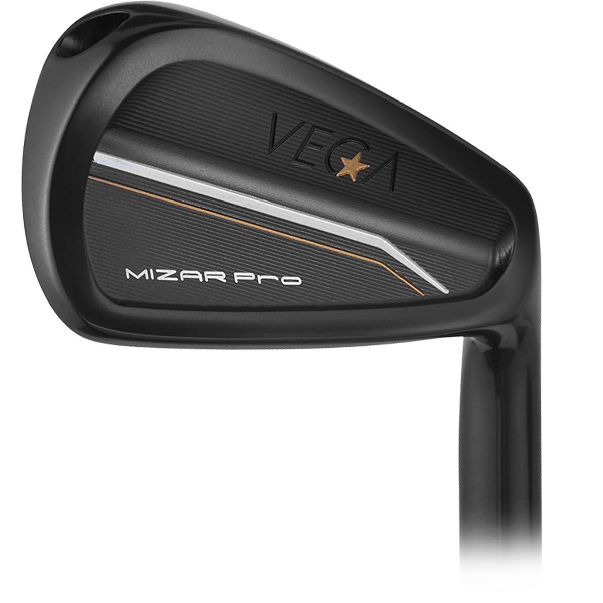 VEGA Mizar Pro DLC Black irons