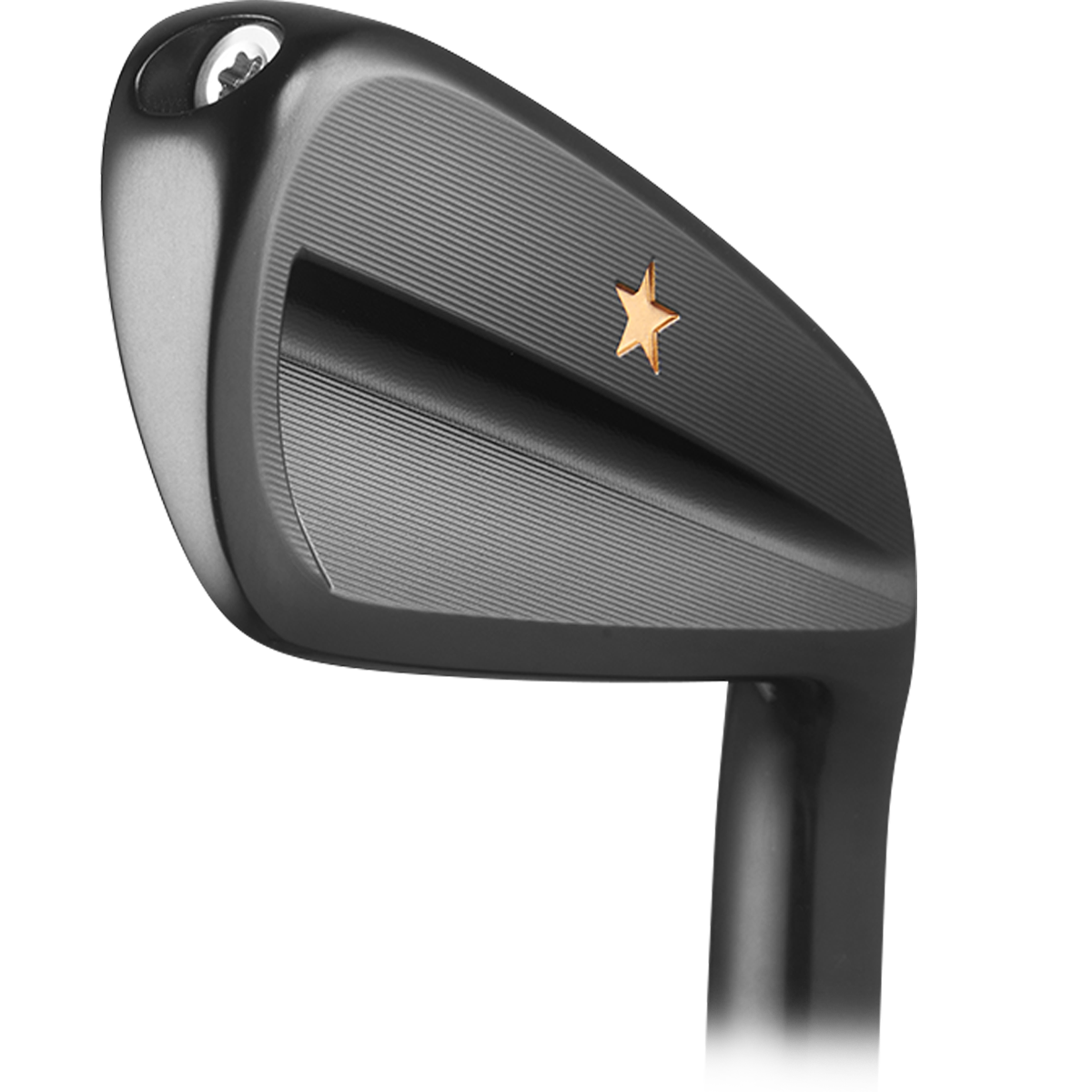 VEGA Custom SS Black DLC Irons