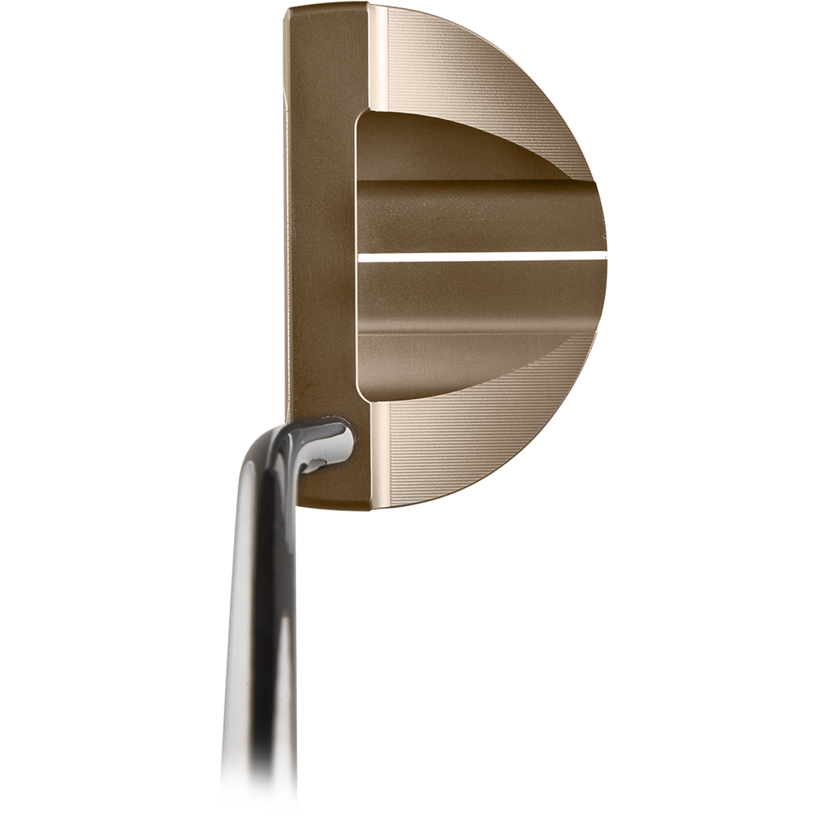 VEGA Merak SM Gold Image