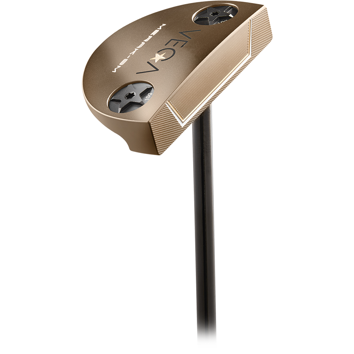 VEGA Merak SM ST Gold Image