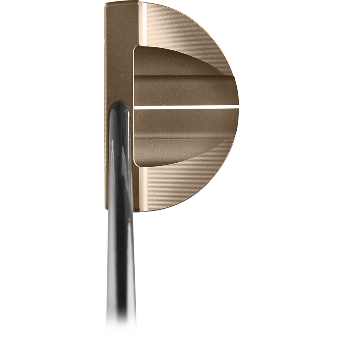 VEGA Merak SM ST Gold Image