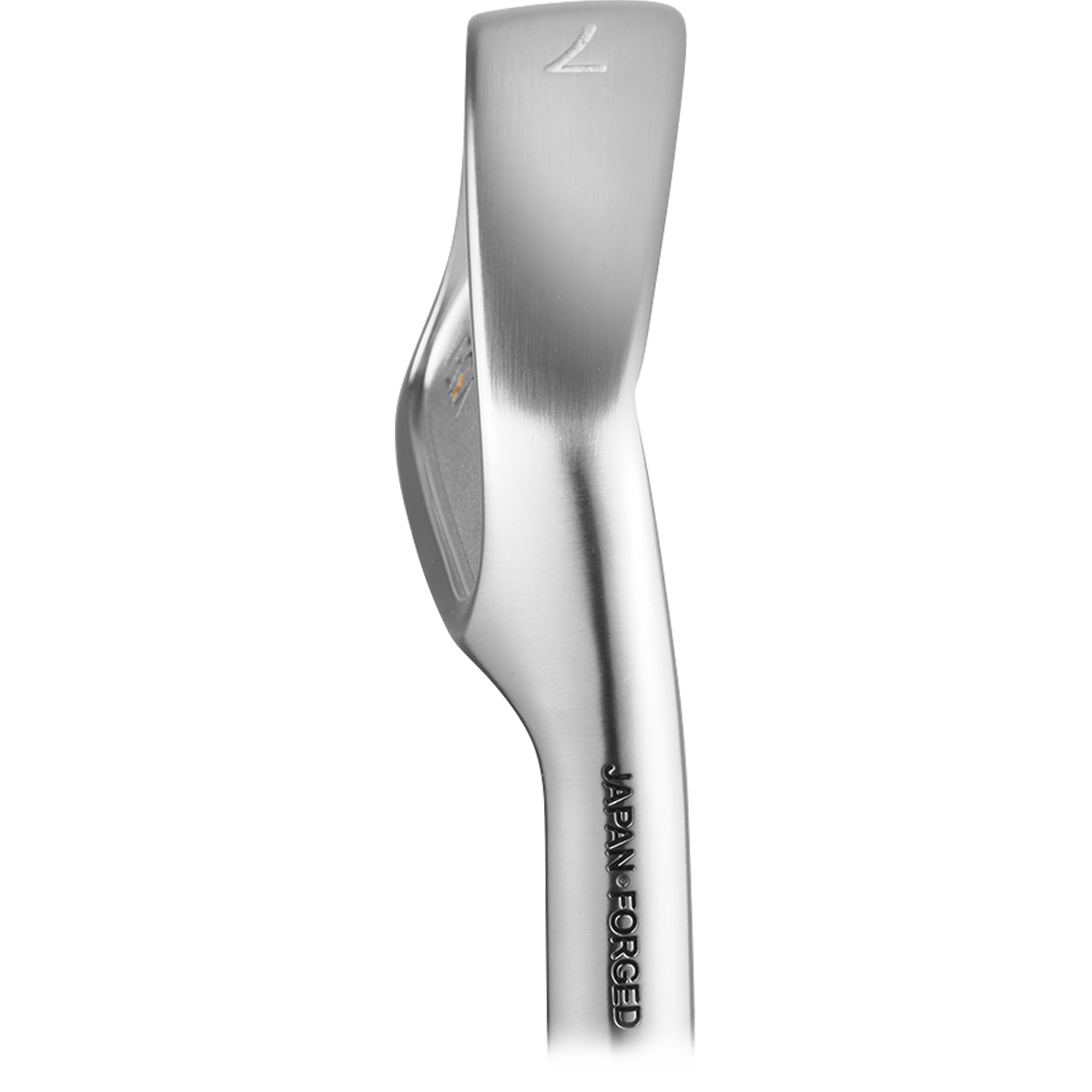 Lyra Image