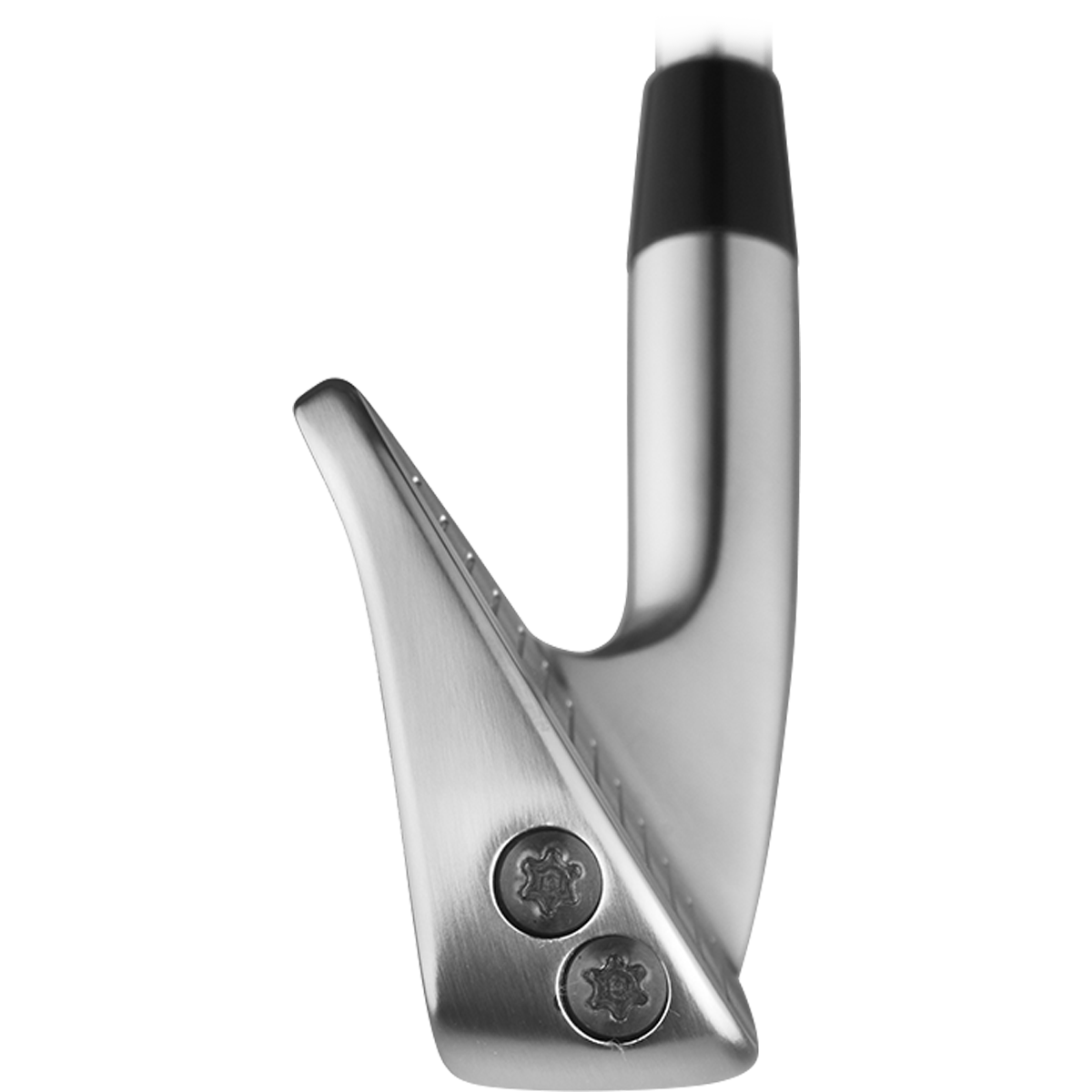Lyra Image