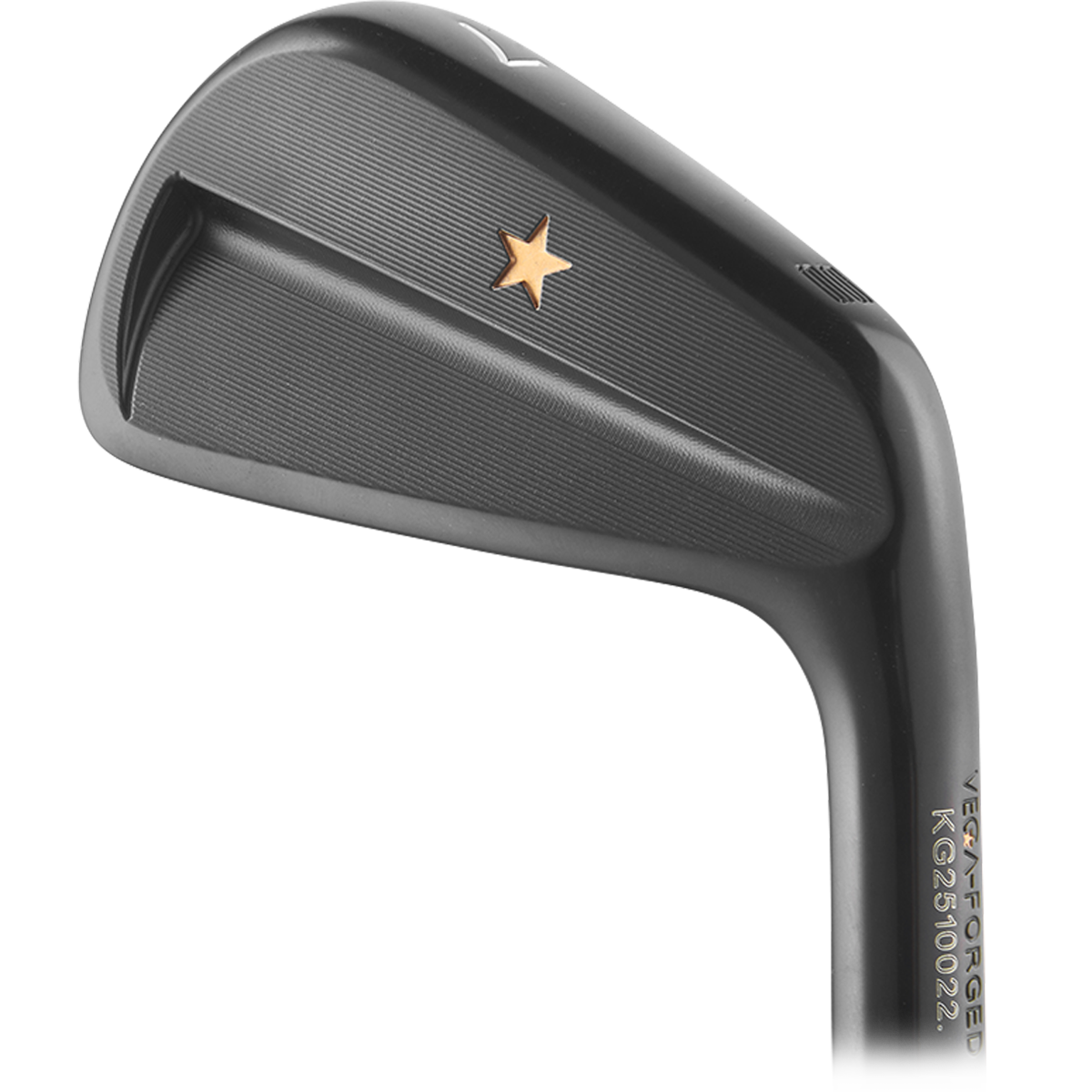 VEGA SS Black DLC Irons