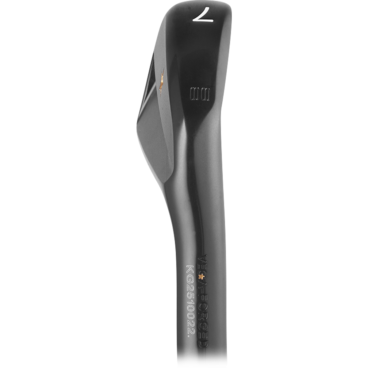 VEGA SS Black DLC Irons