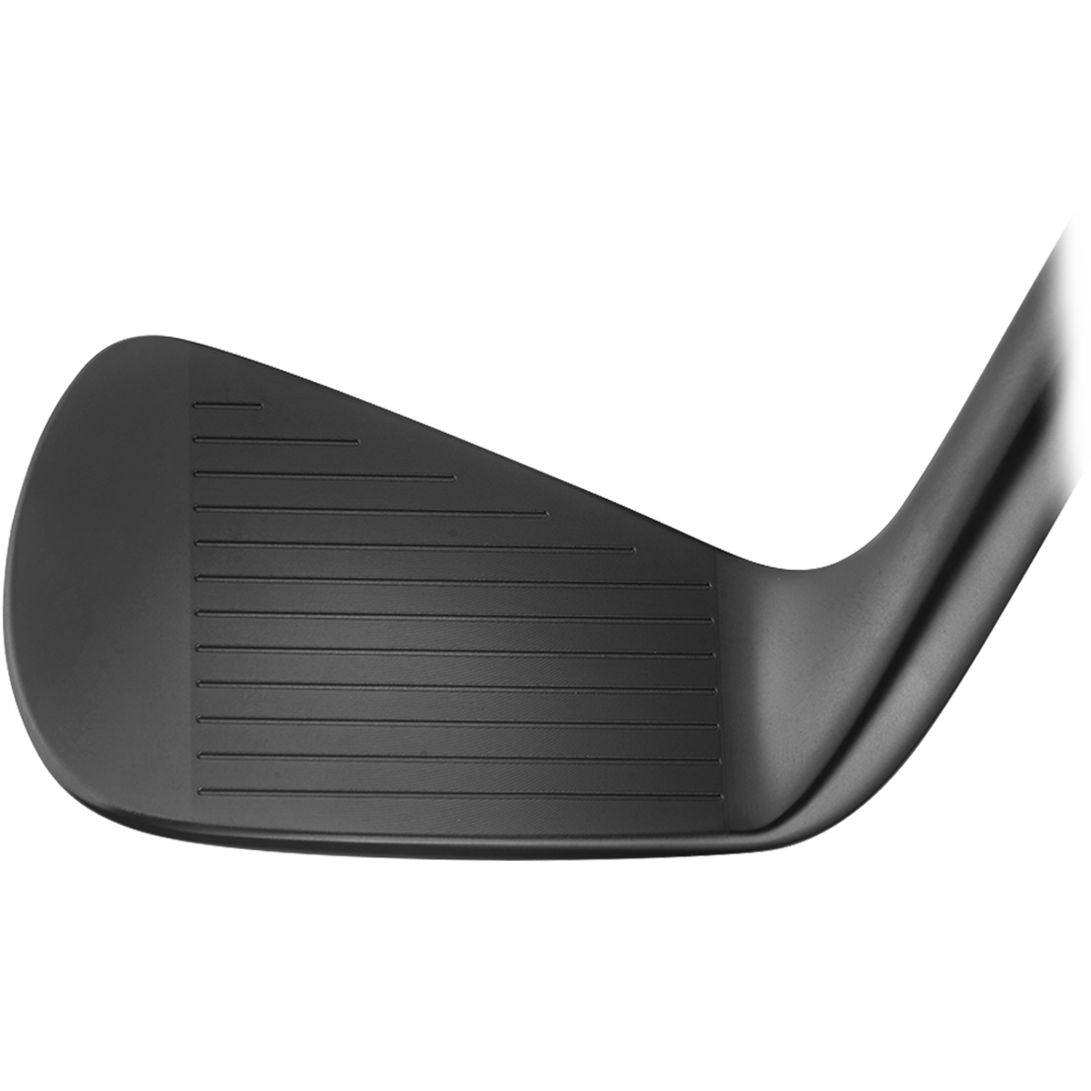 VEGA SS Black DLC Irons - Heads Only